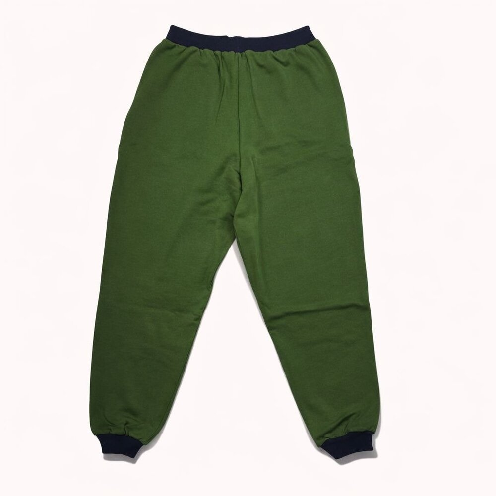 We Wore What Slim Leg Jogger Women Large Hunter Green Navy Colorblock Athleisure - Picture 2 of 14
